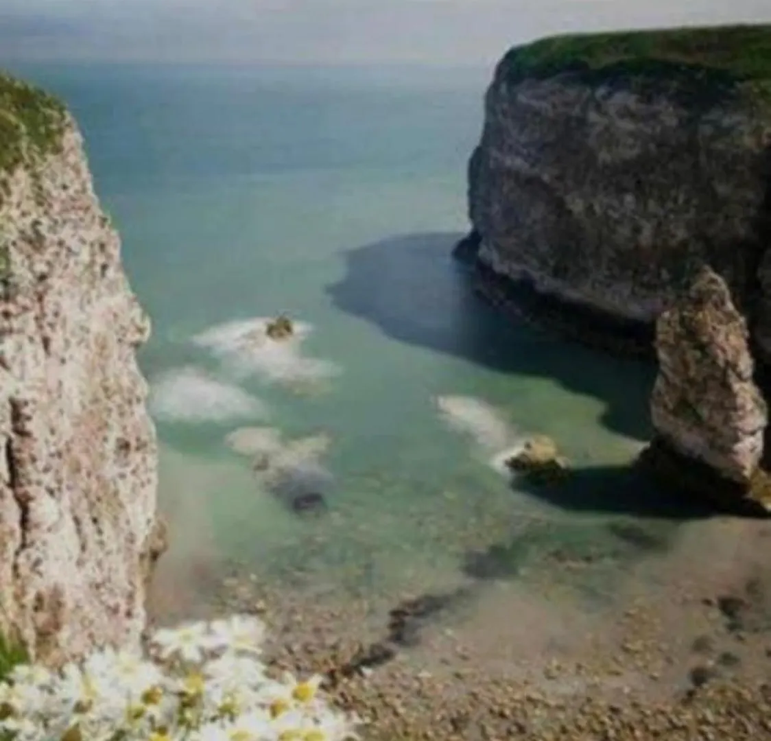 19 Gannet Grove Haven Flambourgh Bridlington East Coast Apartment Flamborough
